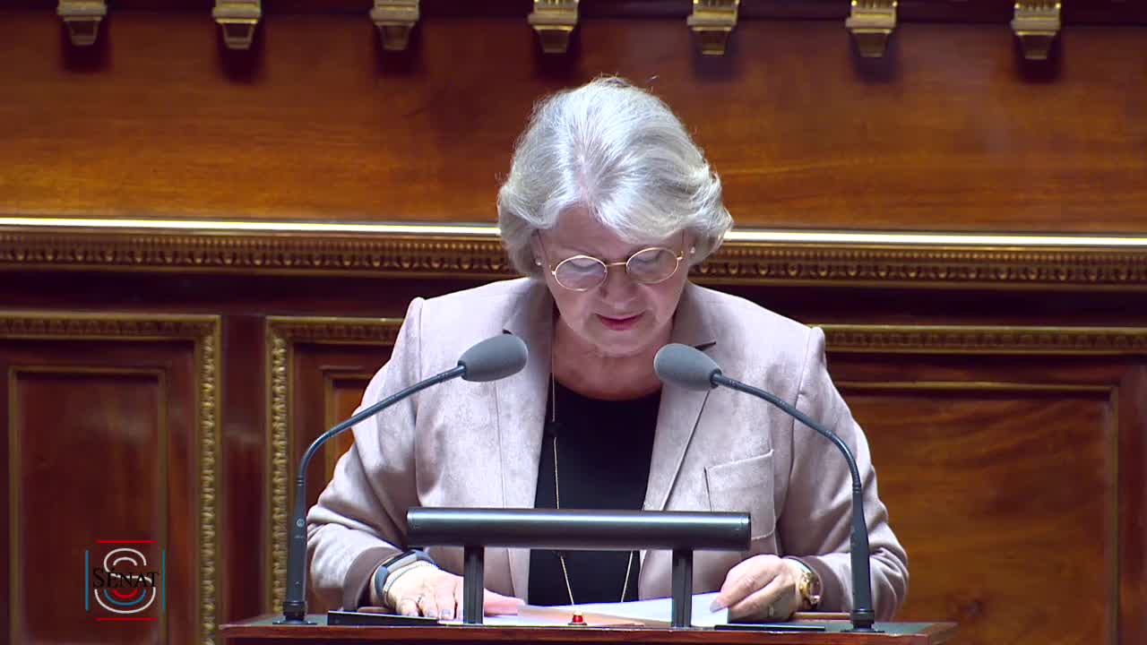 Séance publique du 3 avril 2019 (après-midi)