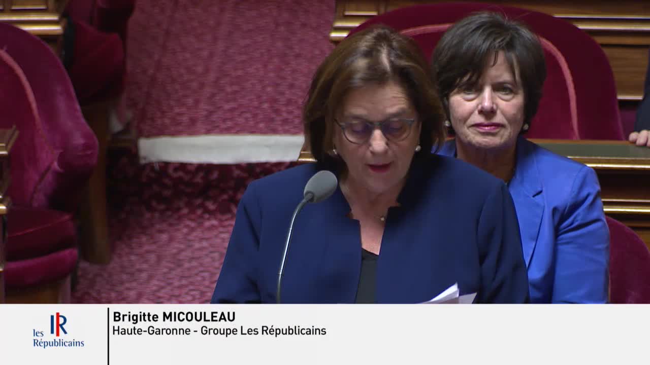 Séance publique du 4 avril 2019 (après-midi)