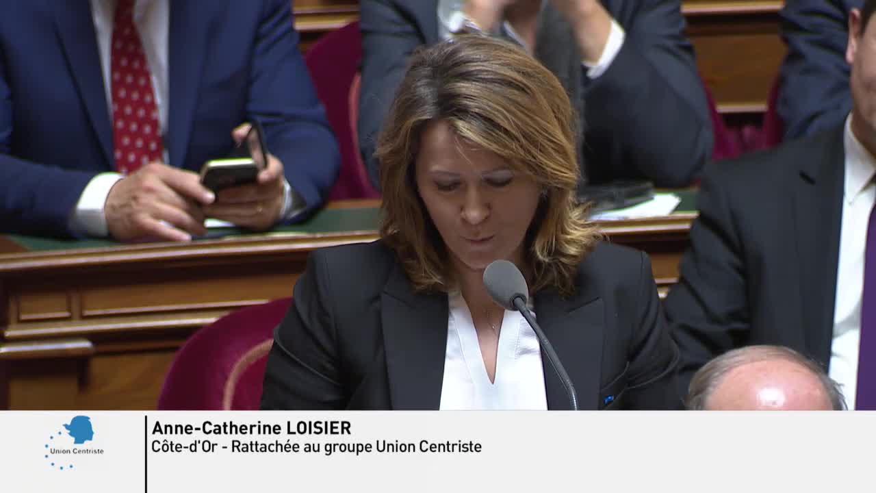 Séance publique du 4 avril 2019 (après-midi)