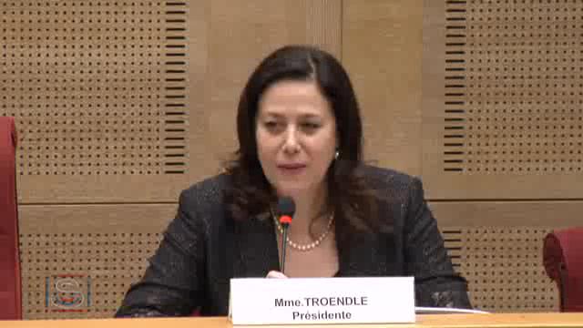 Mission commune d'information sur la réforme des rythmes scolaires