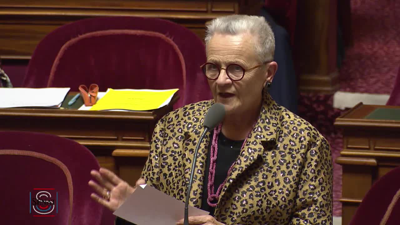 Séance publique du 4 avril 2019 (soir)