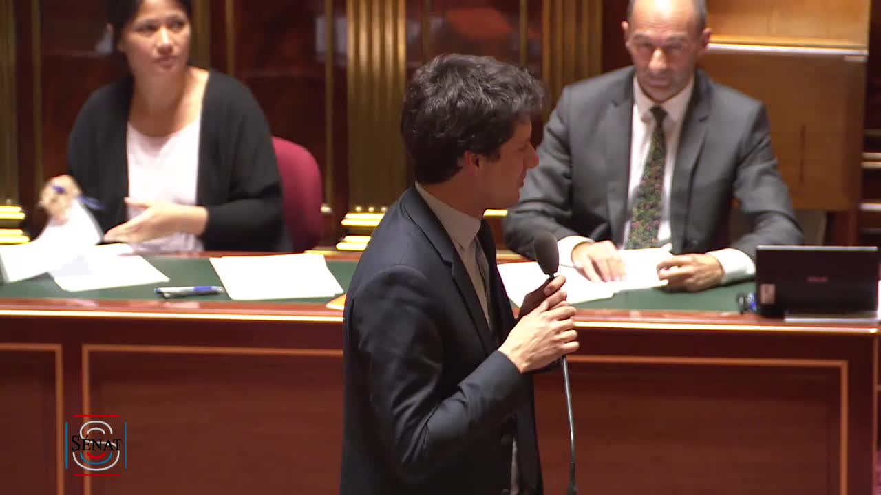 Séance publique du 4 avril 2019 (soir)