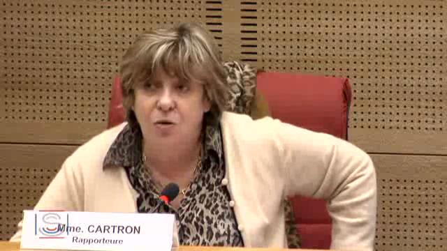 Mission commune d'information sur la réforme des rythmes scolaires