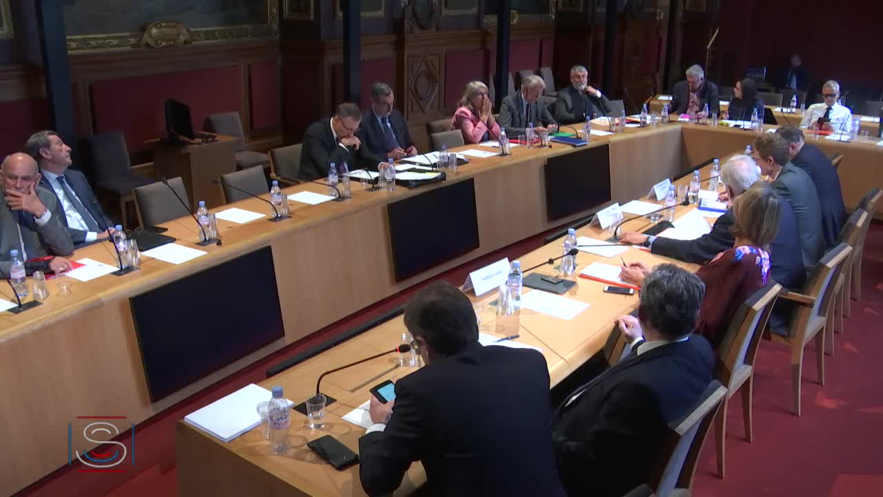 Audition de M. Nikolaus Meyer-Landrut, ambassadeur d'Allemagne en France