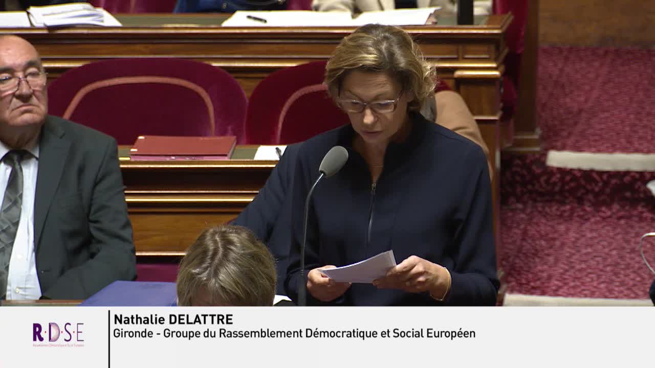 Séance publique du 10 avril 2019 (après-midi)