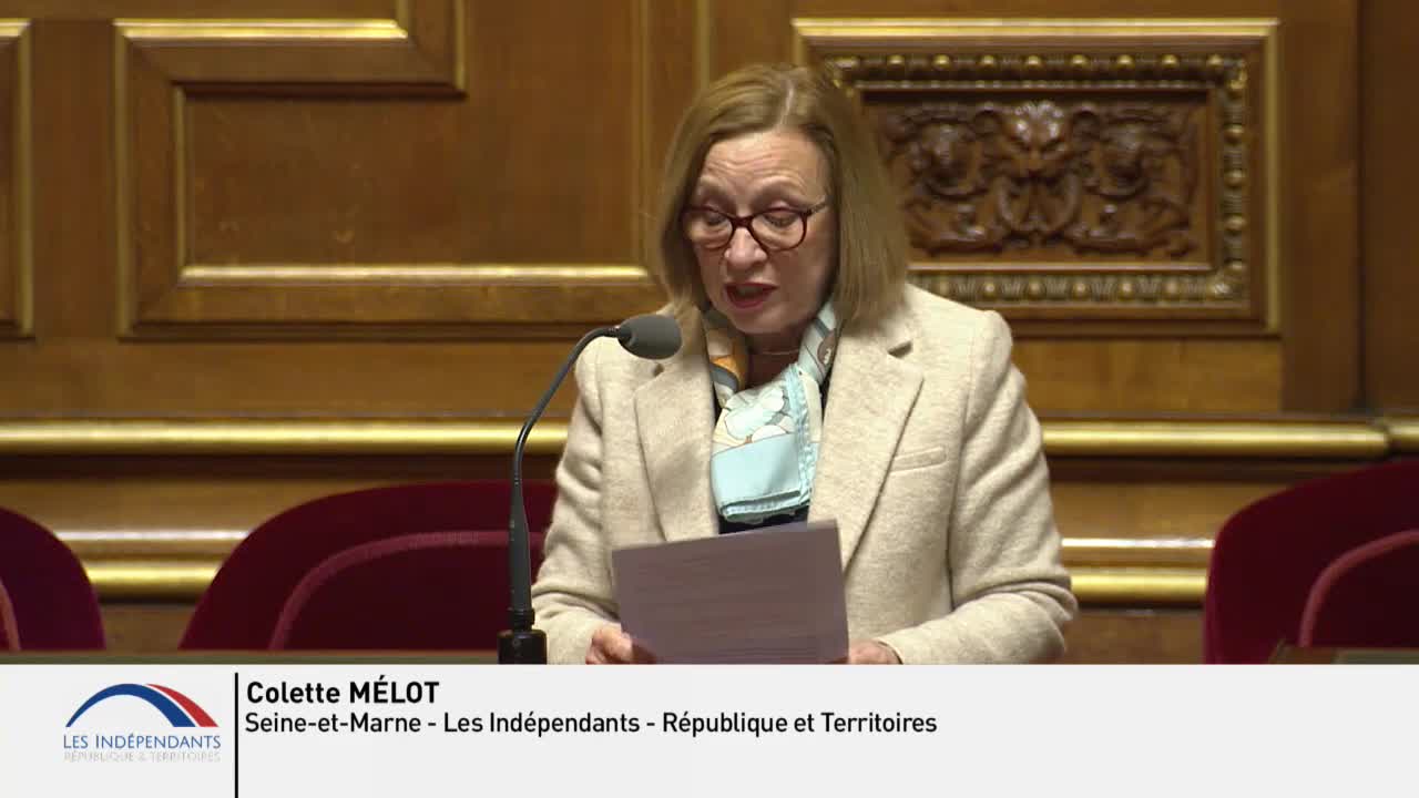 Séance publique du 10 avril 2019 (après-midi)