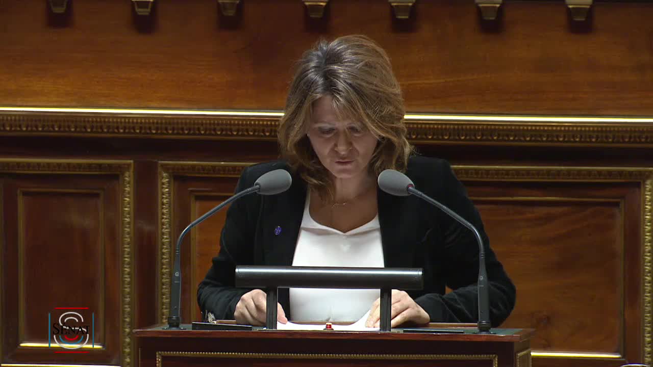 Séance publique du 10 avril 2019 (après-midi)