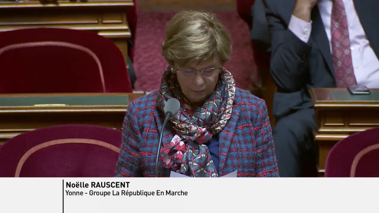 Séance publique du 11 avril 2019 (après-midi)