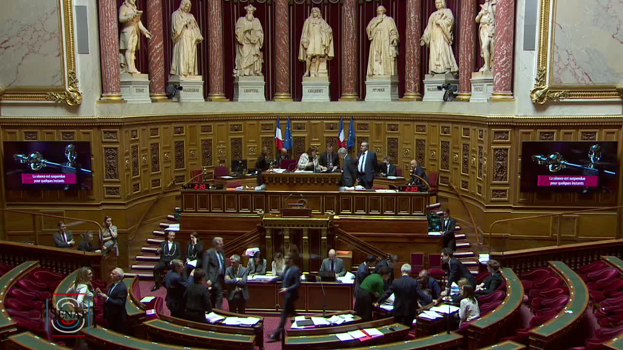 Séance publique du 11 avril 2019 (après-midi)