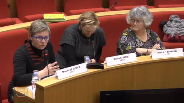 Mission commune d'information sur la réforme des rythmes scolaires