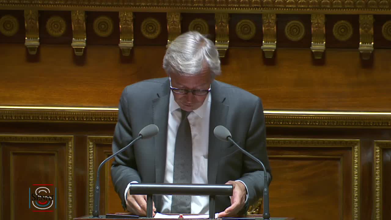 Séance publique du 29 avril 2019 (après-midi)