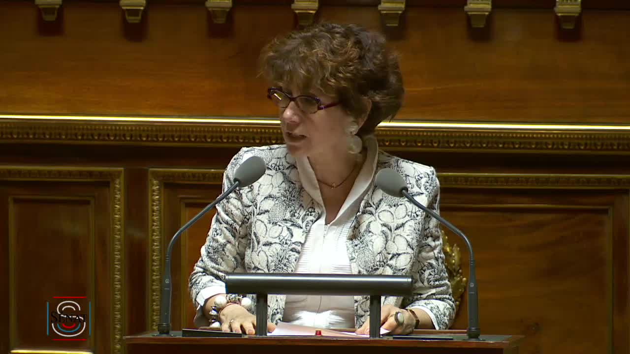 Séance publique du 2 mai 2019 (après-midi)