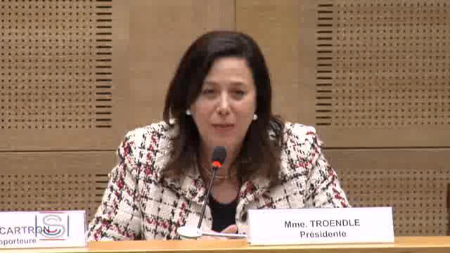Mission commune d'information sur la réforme des rythmes scolaires