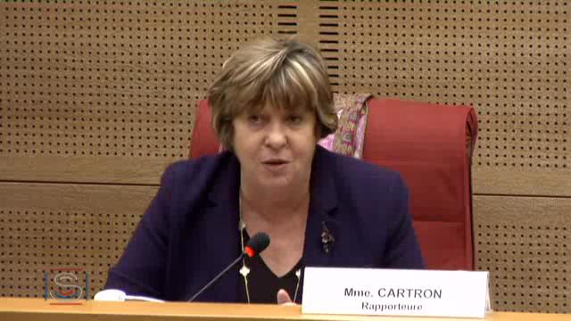 Mission commune d'information sur la réforme des rythmes scolaires