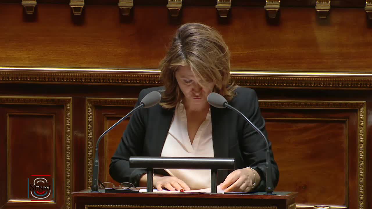 Séance publique du 7 mai 2019 (après-midi)