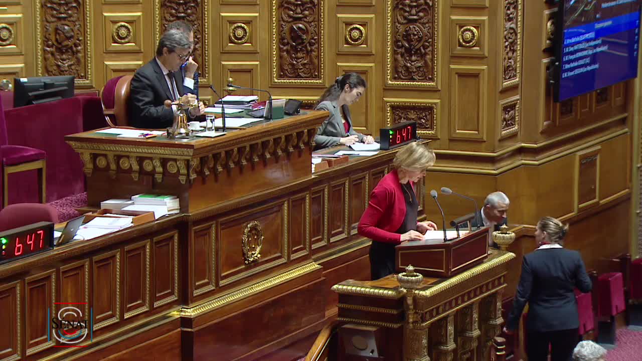 Séance publique du 7 mai 2019 (après-midi)