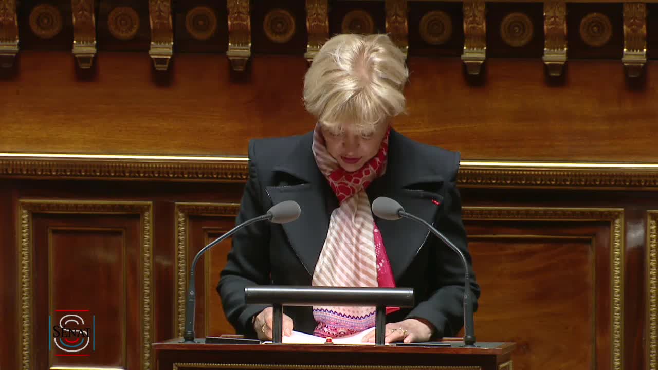 Séance publique du 7 mai 2019 (après-midi)