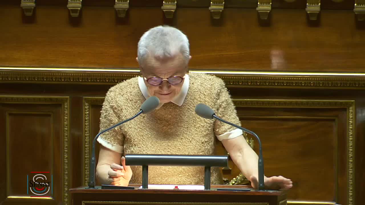 Séance publique du 9 mai 2019 (après-midi)