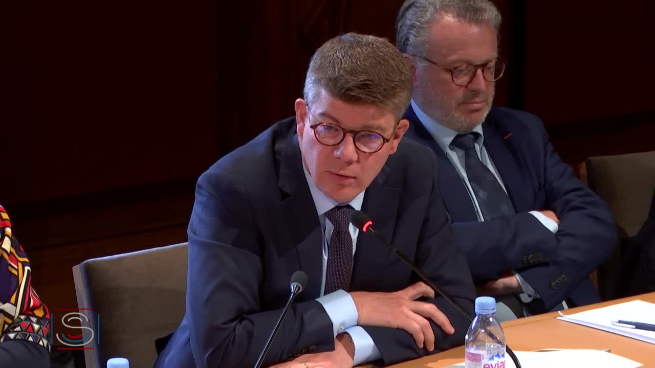 Auditions de M. Fabrizio Carboni, directeur Moyen Orient du Comité international de la Croix Rouge et de M. Louis Gautier, ancien SGDSN
