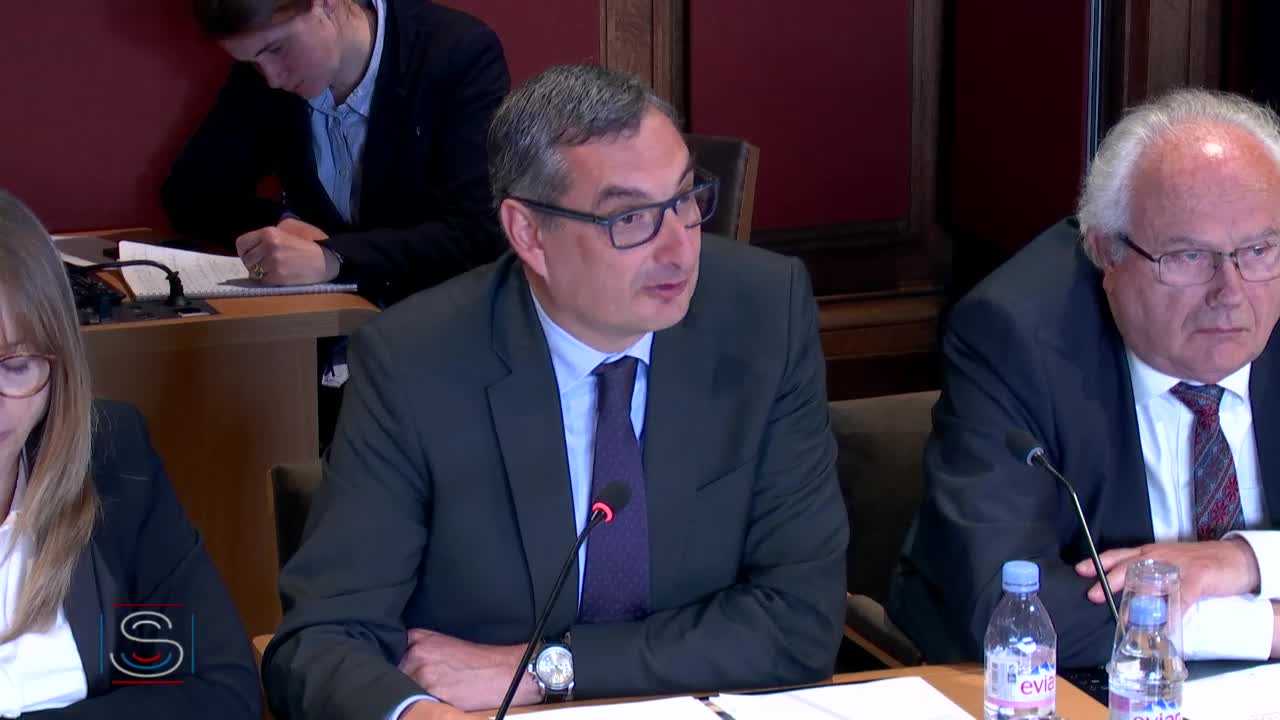 Auditions de M. Fabrizio Carboni, directeur Moyen Orient du Comité international de la Croix Rouge et de M. Louis Gautier, ancien SGDSN