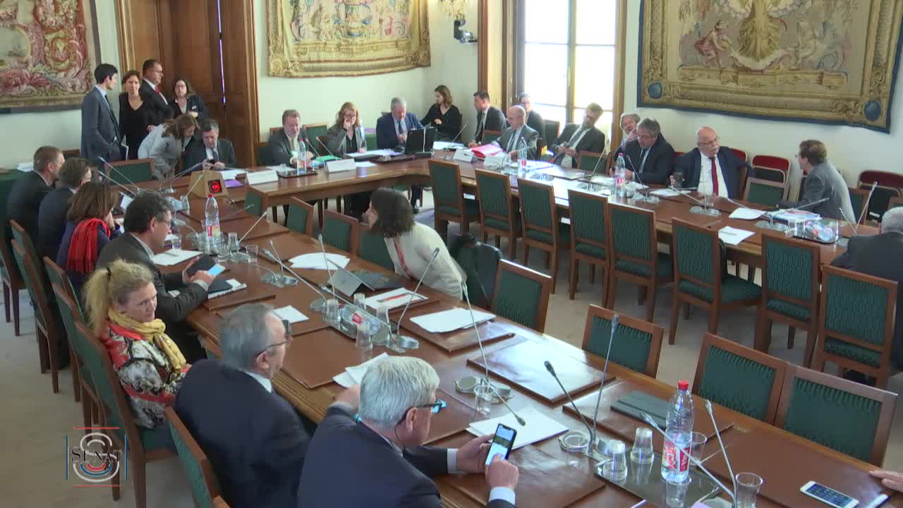 Audition plénière - Le risque cyber dans les domaines économique et financier