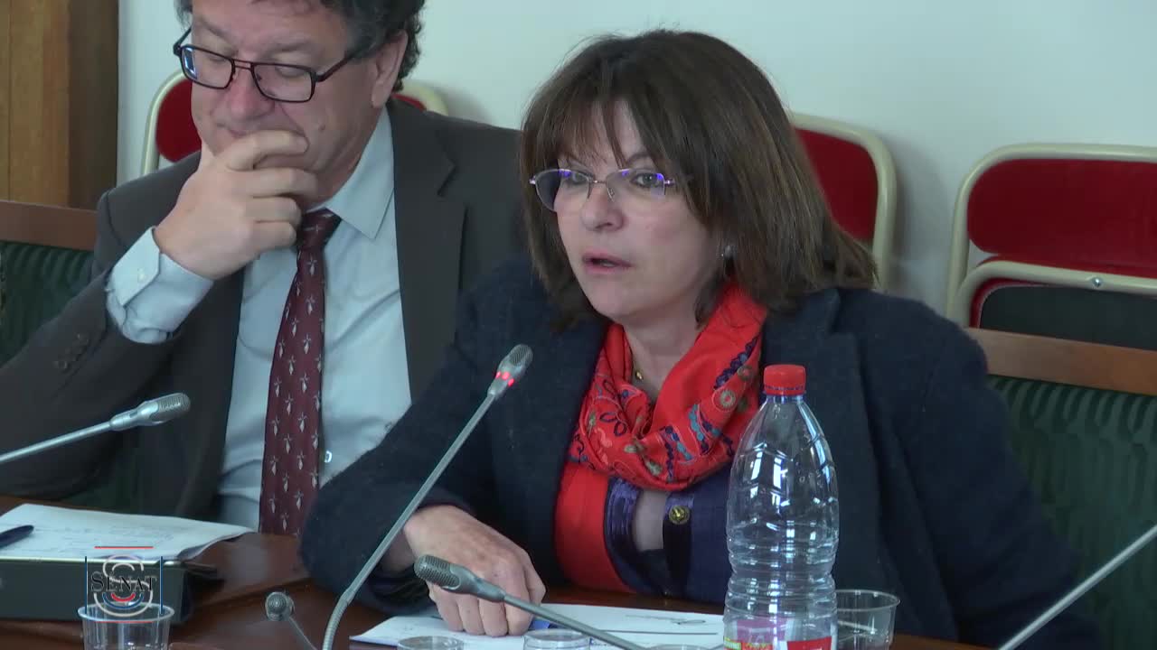 Audition plénière - Le risque cyber dans les domaines économique et financier