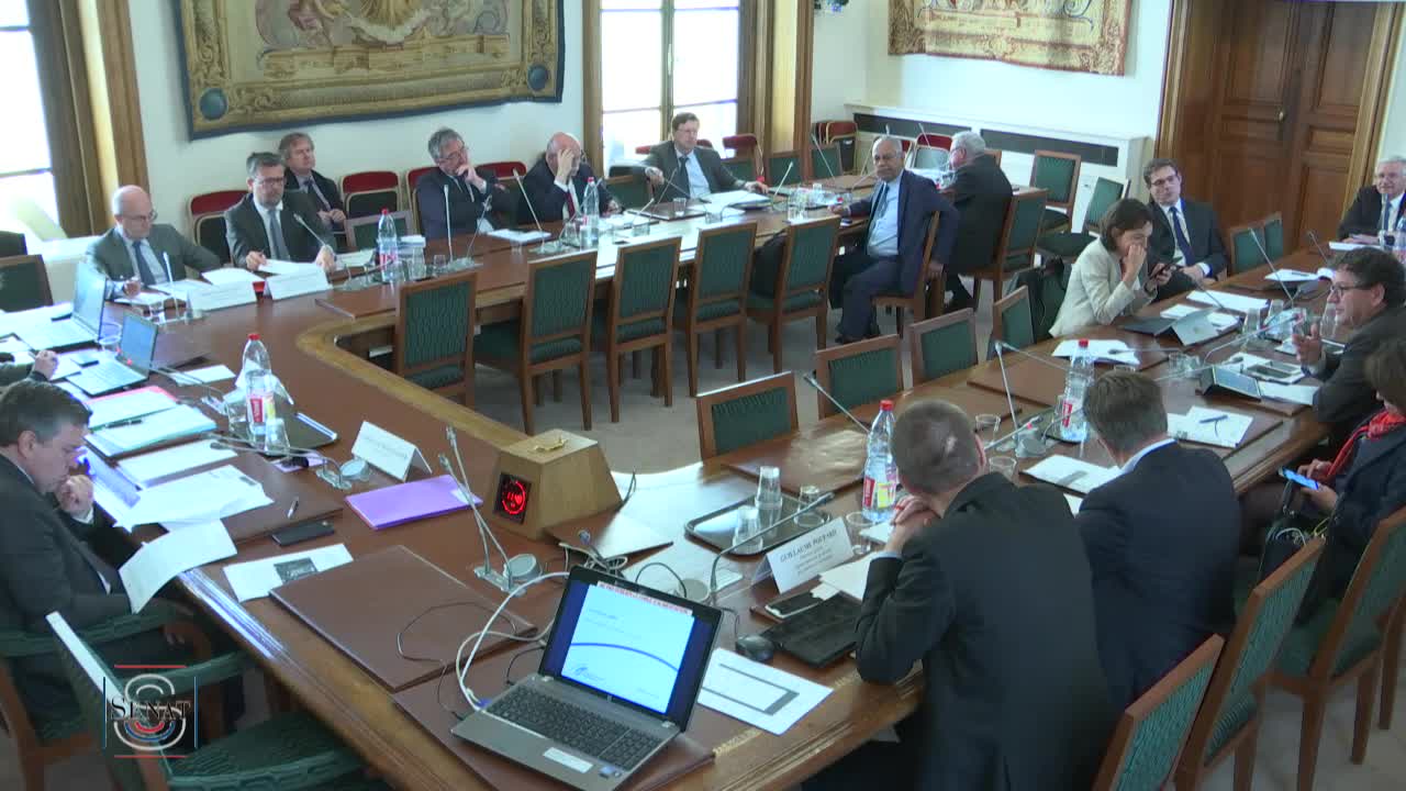 Audition plénière - Le risque cyber dans les domaines économique et financier