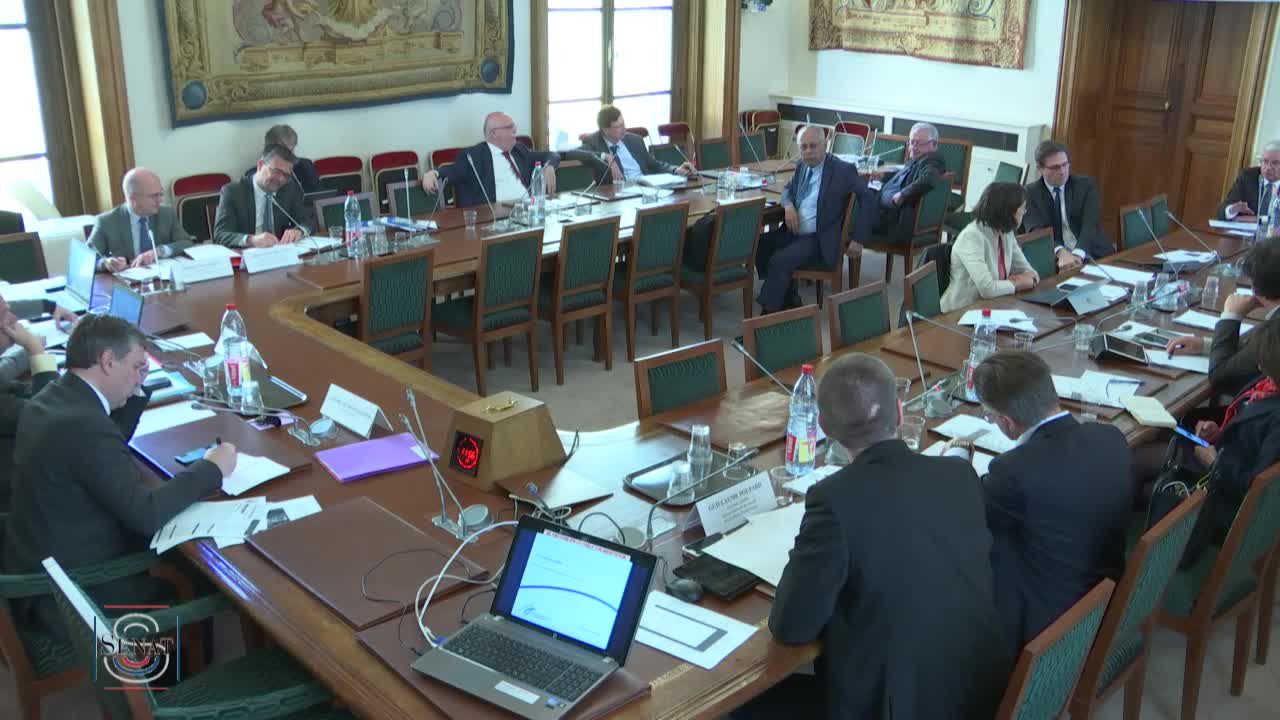 Audition plénière - Le risque cyber dans les domaines économique et financier