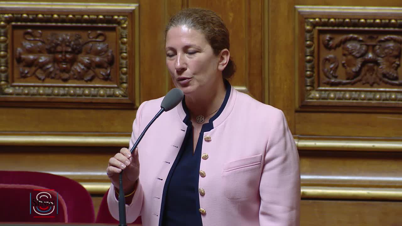 Séance publique du 14 mai 2019 (matin)