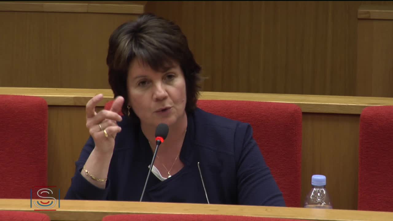 Audition de Mmes Agnès Buzyn, ministre des solidarités et de la santé, et Frédérique Vidal, ministre de l’enseignement supérieur, de la recherche et de l’innovation