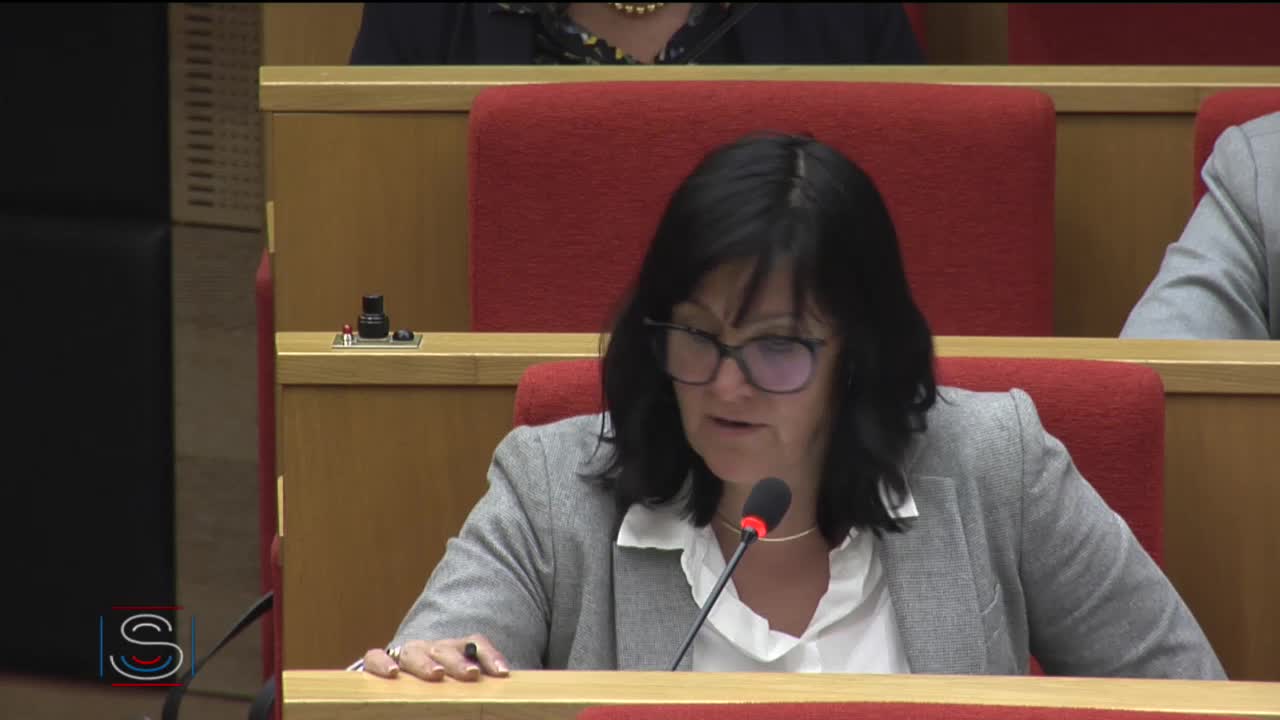 Audition de Mmes Agnès Buzyn, ministre des solidarités et de la santé, et Frédérique Vidal, ministre de l’enseignement supérieur, de la recherche et de l’innovation