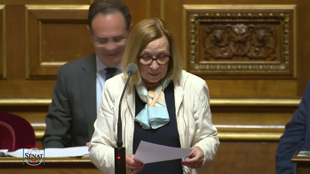 Séance publique du 14 mai 2019 (soir)