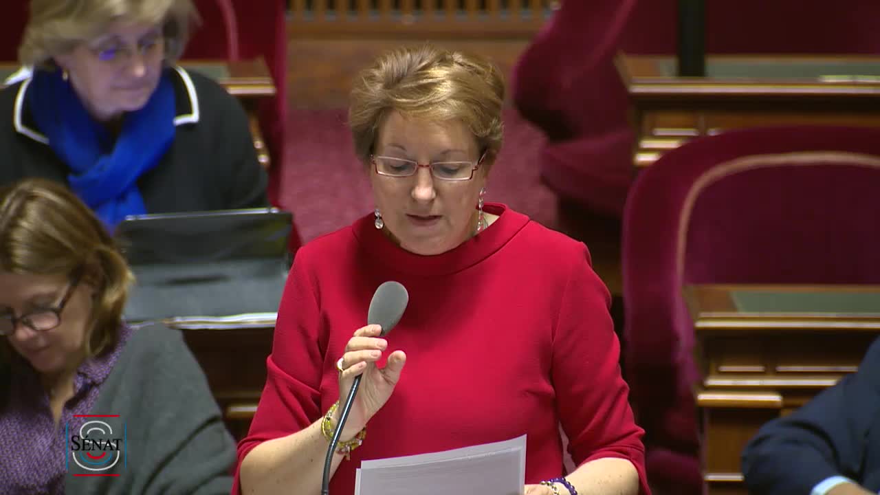 Séance publique du 14 mai 2019 (soir)