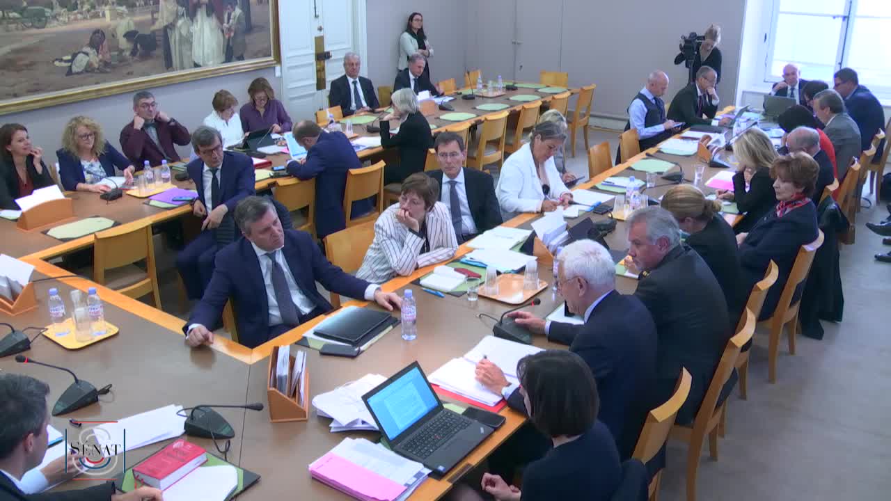 Audition plénière de M. Franck Riester, ministre de la culture - PJL pour la restauration et la conservation de Notre-Dame de Paris