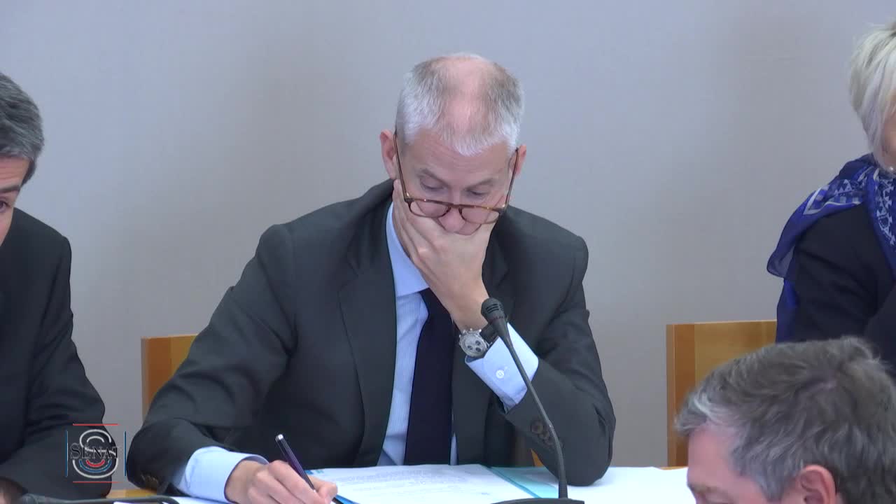 Audition plénière de M. Franck Riester, ministre de la culture - PJL pour la restauration et la conservation de Notre-Dame de Paris
