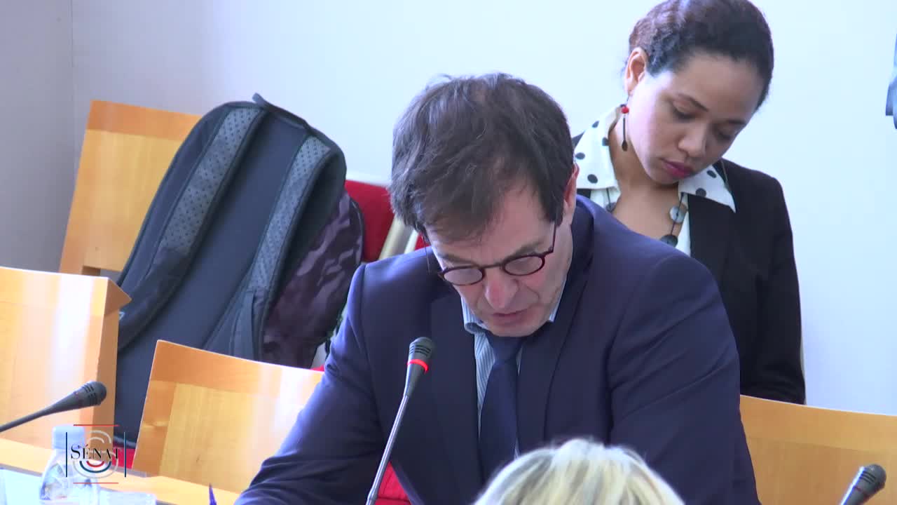 Audition plénière de M. Franck Riester, ministre de la culture - PJL pour la restauration et la conservation de Notre-Dame de Paris