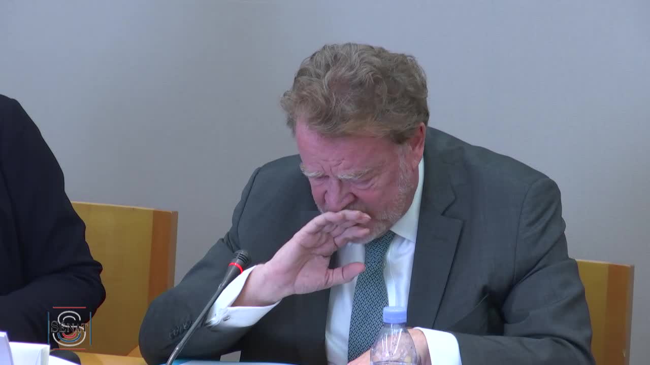 Audition plénière de M. Franck Riester, ministre de la culture - PJL pour la restauration et la conservation de Notre-Dame de Paris