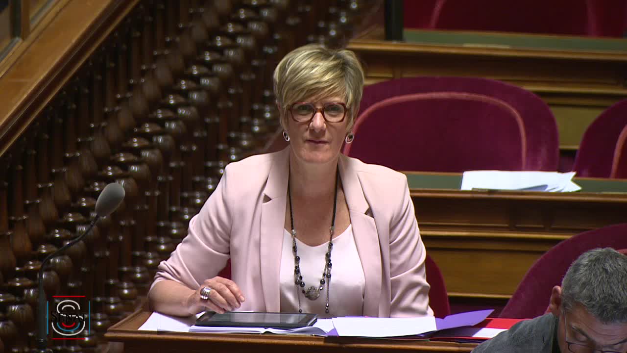 Séance publique du 15 mai 2019 (soir)