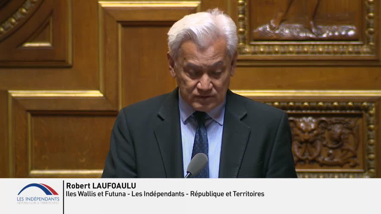 Séance publique du 17 mai 2019 (après-midi)