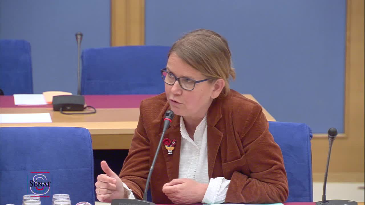Audition Mme Agnès Buzyn, ministre - PJL Organisation du système de santé