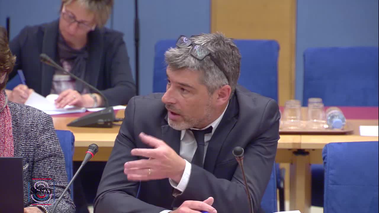 Audition Mme Agnès Buzyn, ministre - PJL Organisation du système de santé