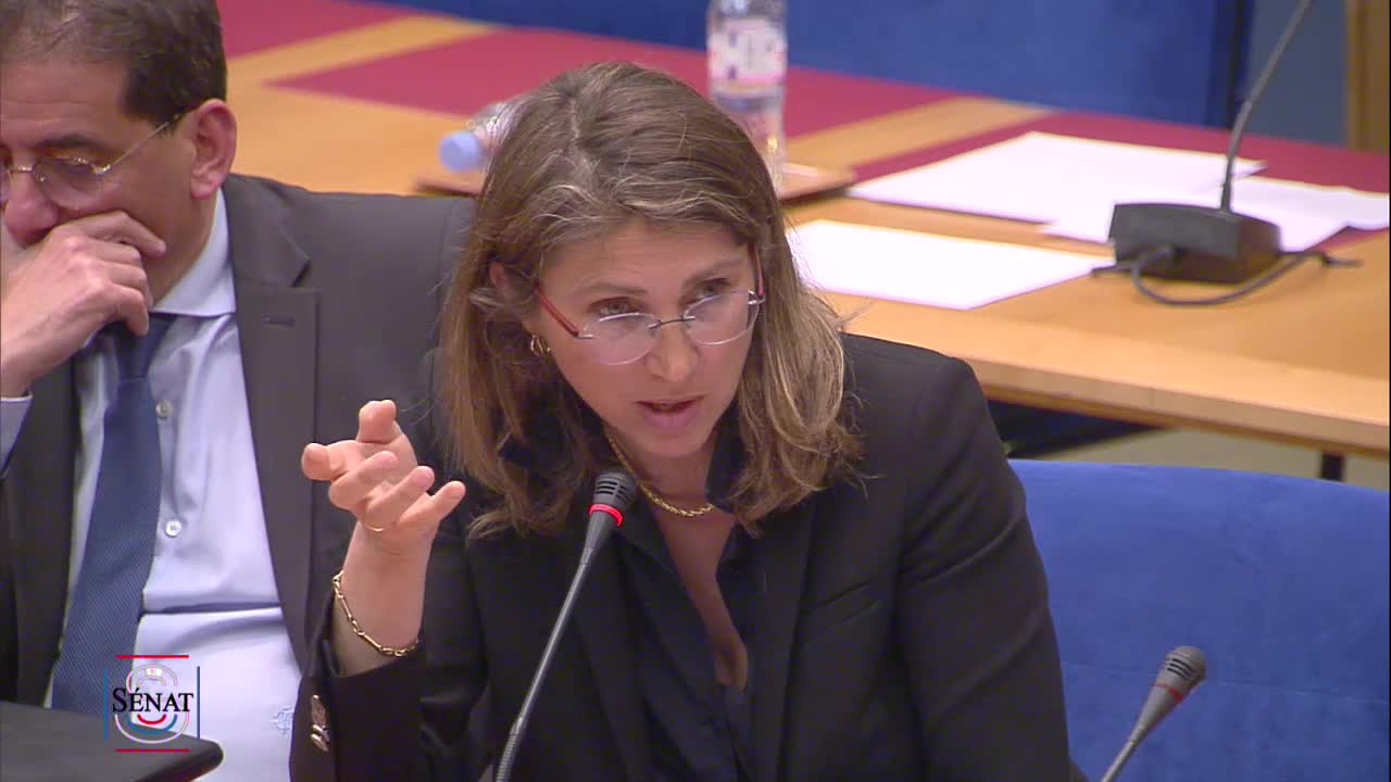 Audition Mme Agnès Buzyn, ministre - PJL Organisation du système de santé