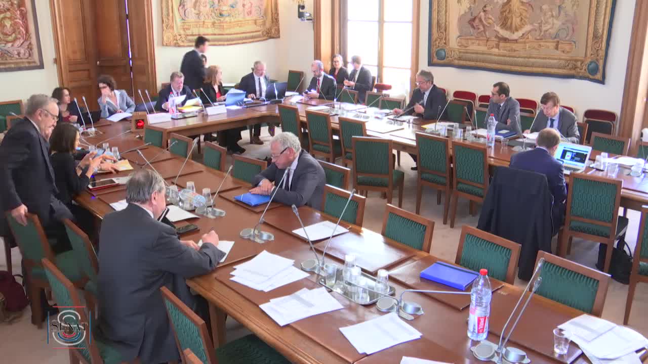 Audition de Mme Isabelle SAURAT, directrice de l’immobilier de l’État