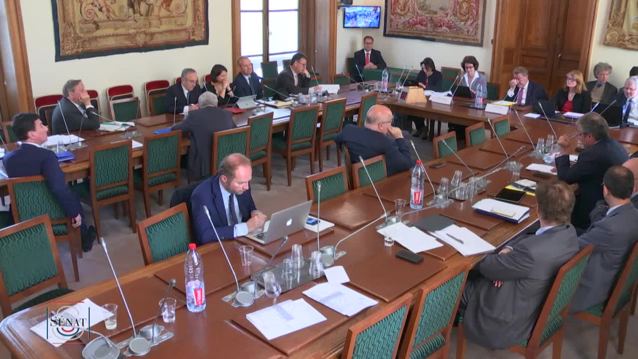 Audition de Mme Isabelle SAURAT, directrice de l’immobilier de l’État