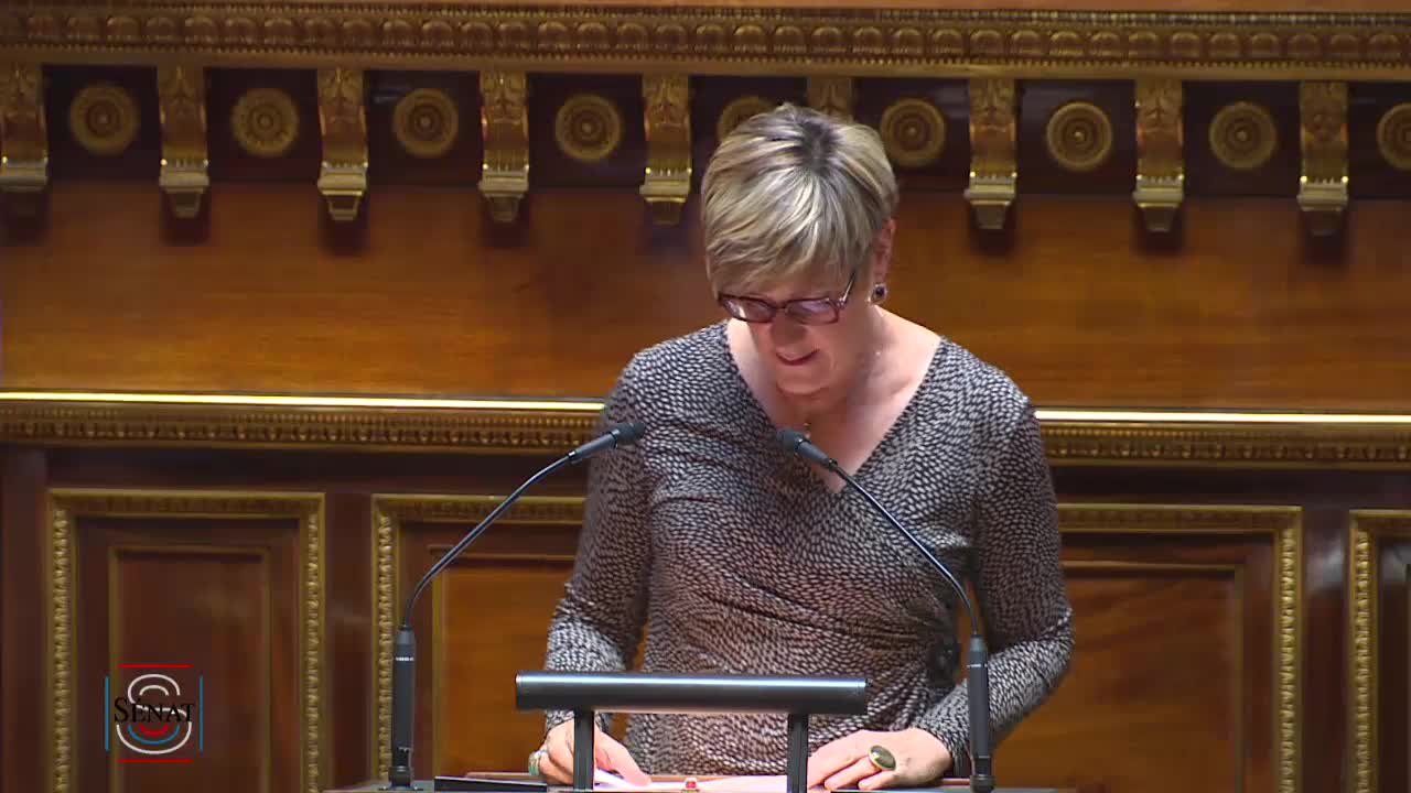 Séance publique du 21 mai 2019 (après-midi)