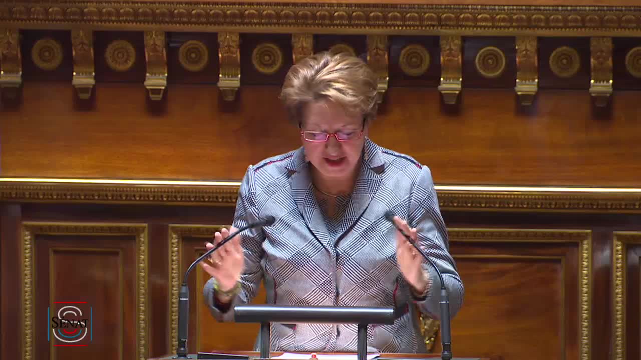 Séance publique du 21 mai 2019 (après-midi)