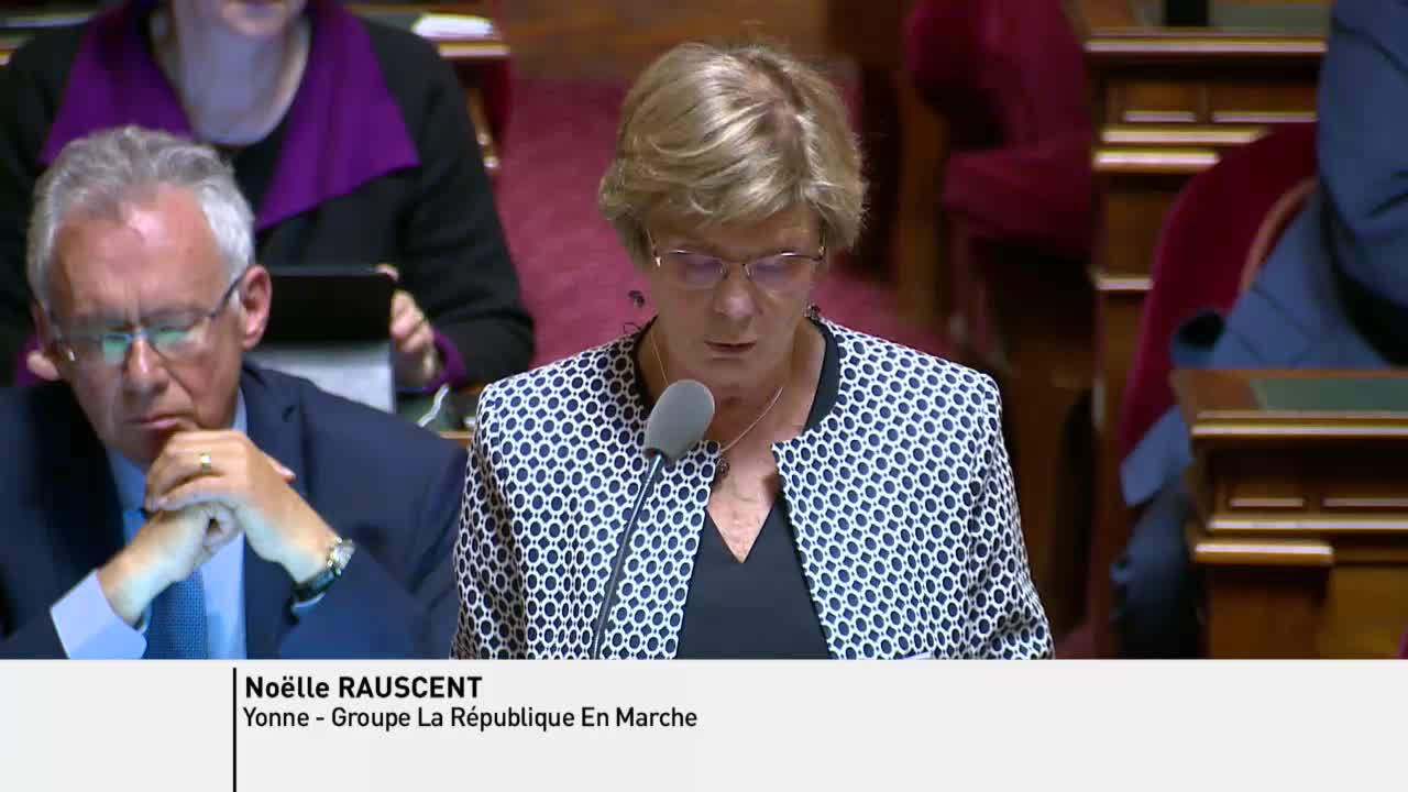 Séance publique du 21 mai 2019 (après-midi)