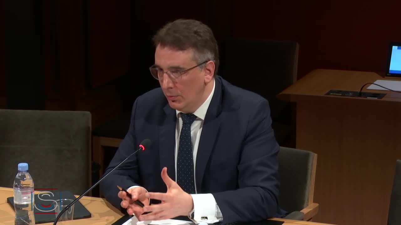 Audition plénière - Commission d'enquête sur la souveraineté numérique