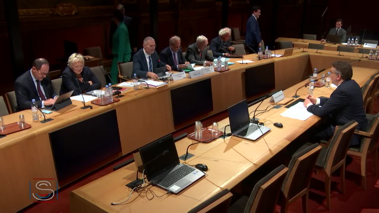Audition plénière - Commission d'enquête sur la souveraineté numérique