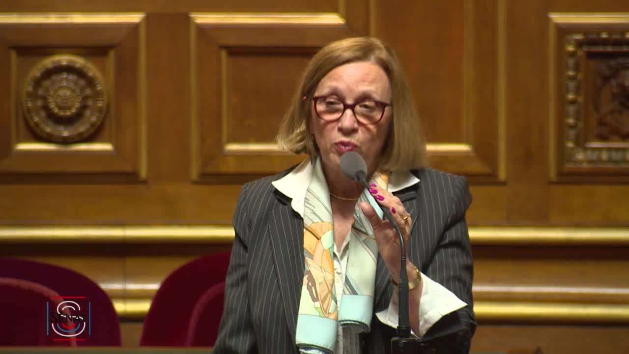 Séance publique du 22 mai 2019 (après-midi)